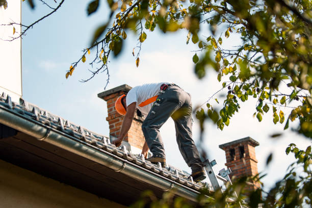 Best Metal Roofing Contractor  in Milan, OH